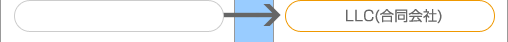 LLC(合同会社)