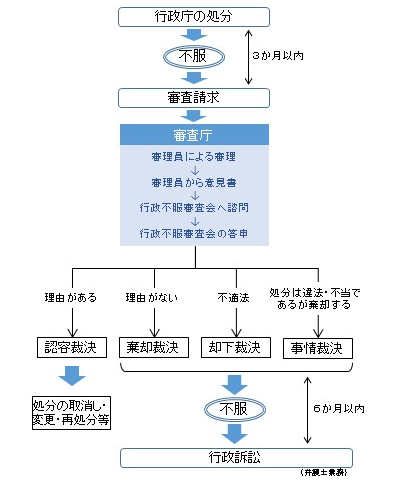 不服申立てのあらまし (一例)